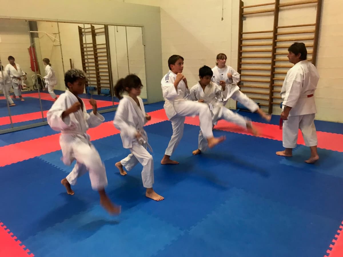 Cours saison 2024/2025
